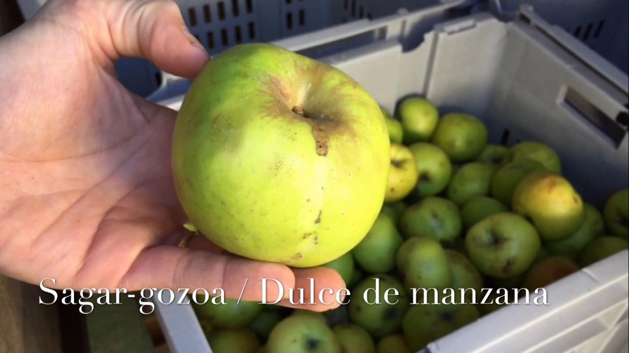 Elaborando nuestro dulce de manzana